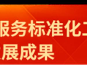 信息技術(shù)服務(wù)標(biāo)準(zhǔn)在軟件開發(fā)中的應(yīng)用與價值